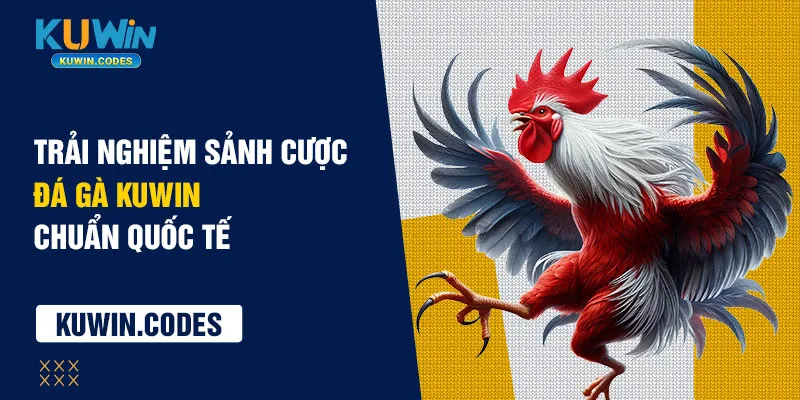 Giới thiệu đá gà kuiwn